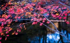 小学生桶机30分钟全教程